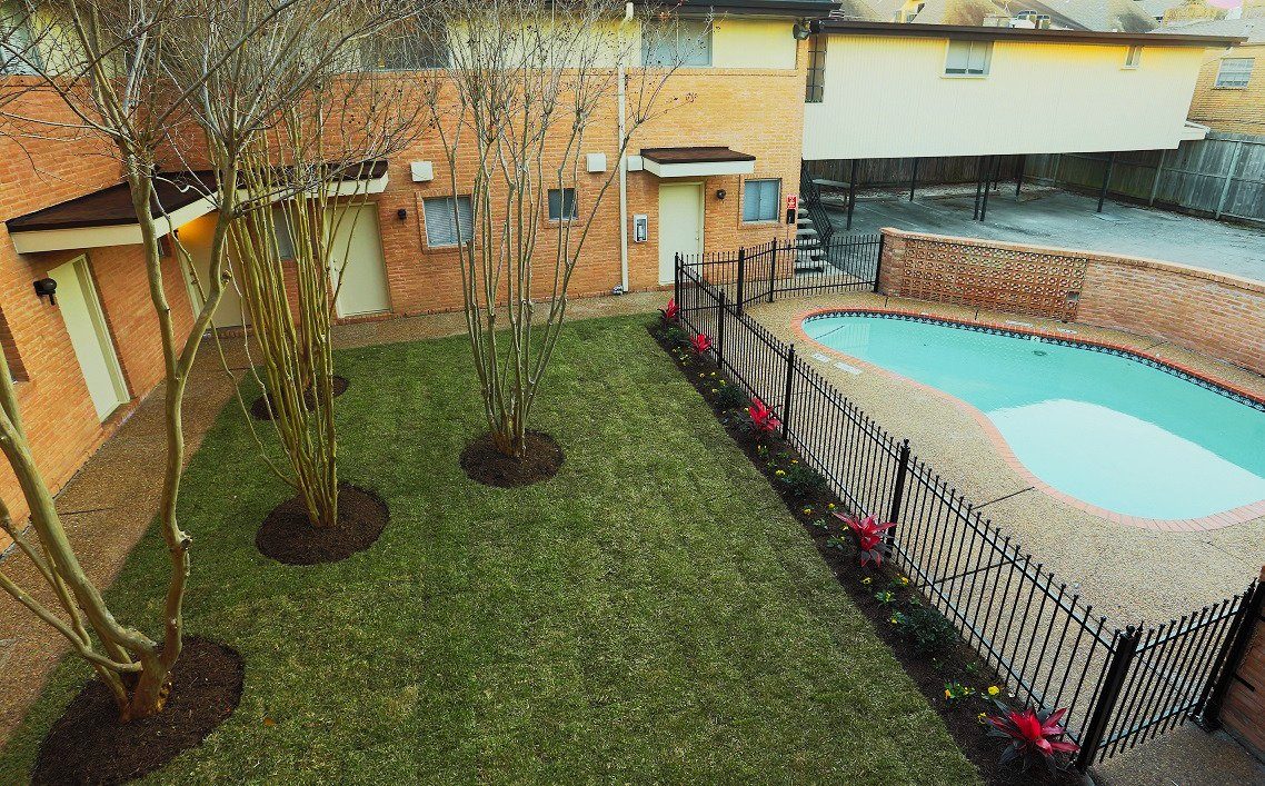 The revived courtyard with pool, crepe myrtles, and new landscaping along the iron fence.